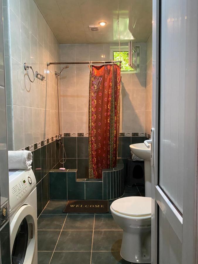 Guest house Konstanta Lentekhi Extérieur photo